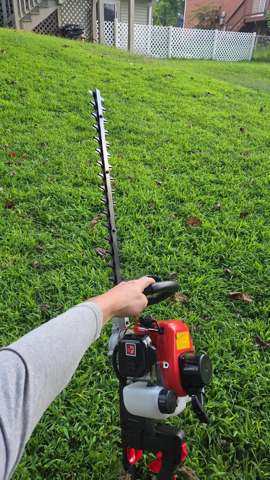 Hedge trimming in progress
